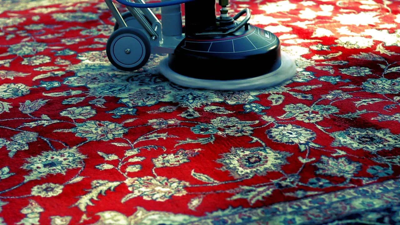 Persian rug professional cleaning process